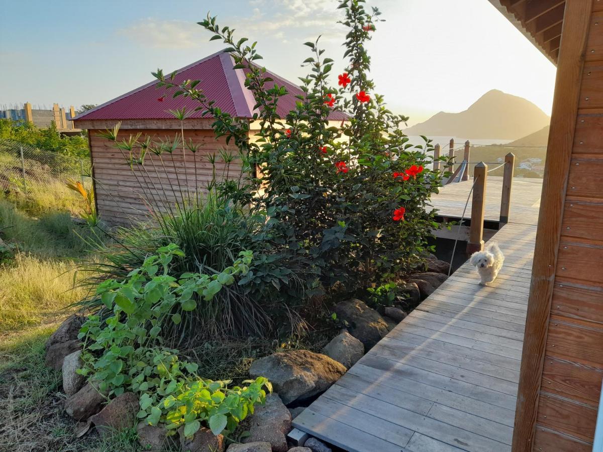 Ti Kaz Anoli Cottage En Bois Avec Vue Sur La Baie Terre-de-Bas 외부 사진